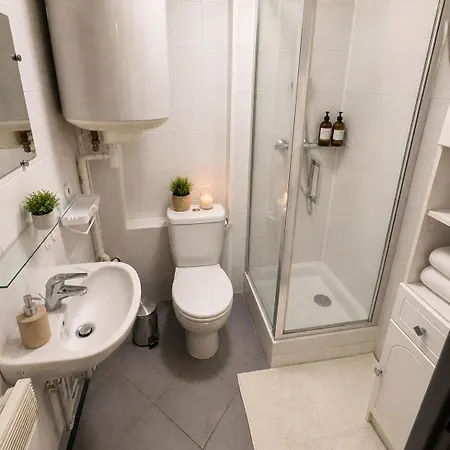 Le Ptit Stan Place Stanislas 1 Min Appartement